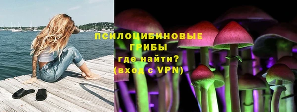 метадон Приозерск